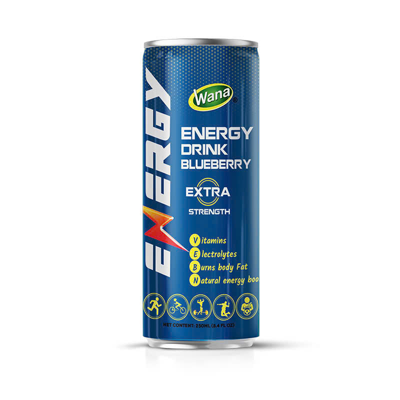 Fruit Flavored Energy Drink 250ML